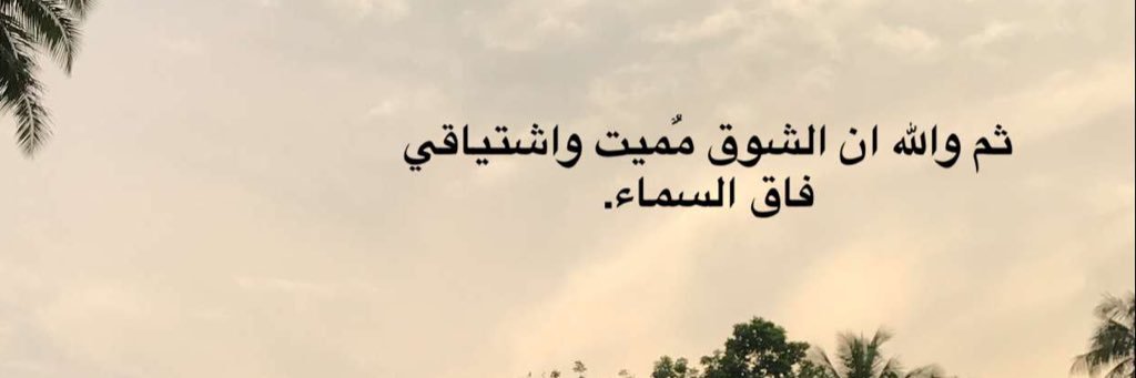 iiiz506's profile banner image