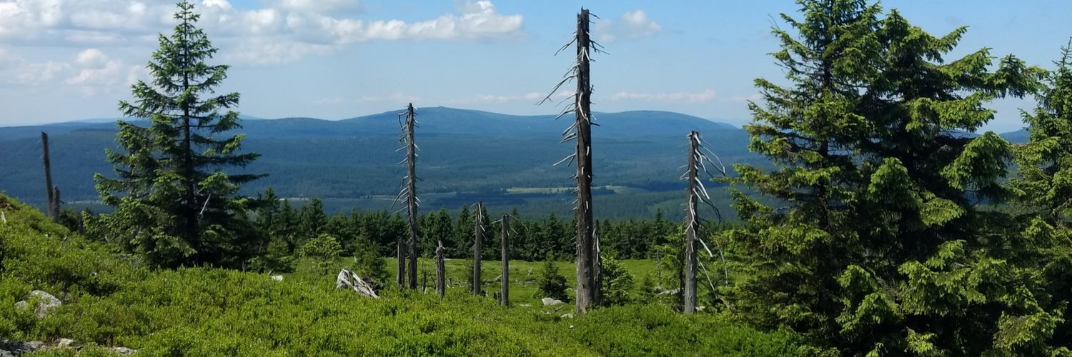 wtnowak's profile banner image