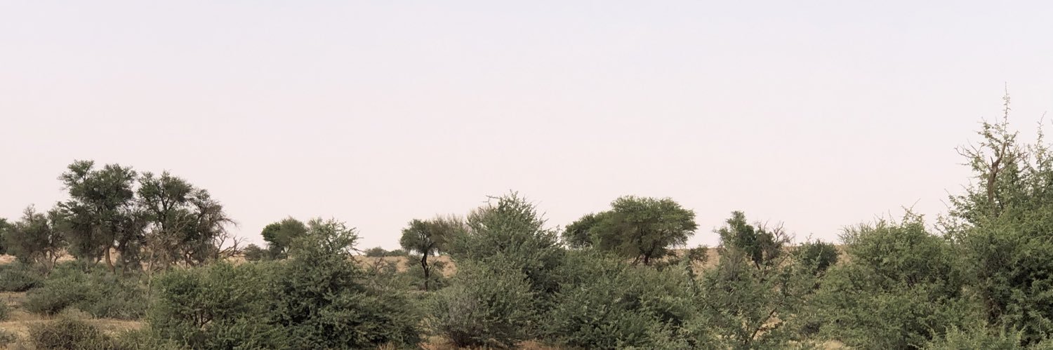 Mohammed0666's profile banner image