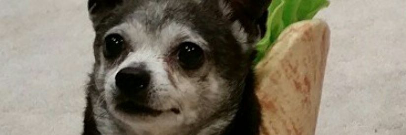 NateBenson32's profile banner image