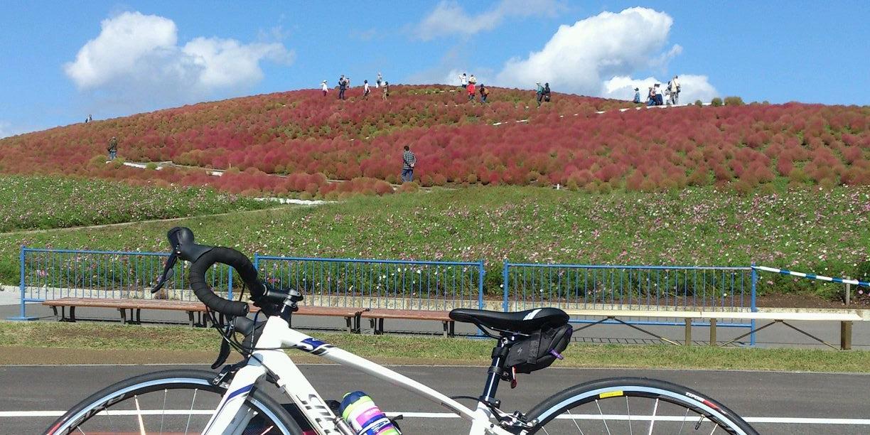 tomoya517's profile banner image