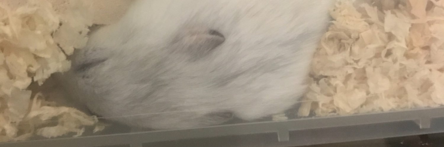 DQ10_EG6's profile banner image