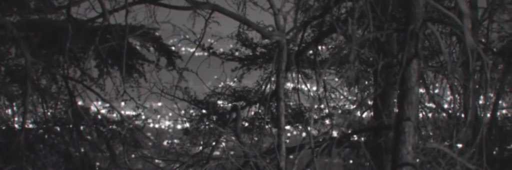 Mané Fiordelmondo banner