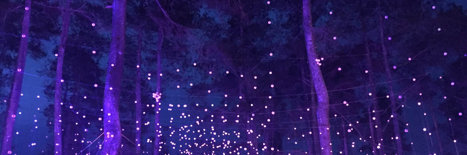putelest's profile banner image