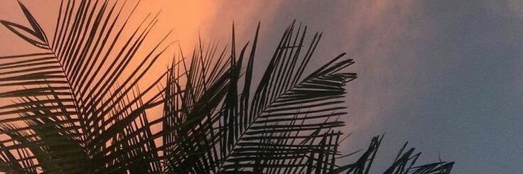 StRpfh's profile banner image