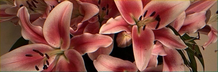 mubes_siroh's profile banner image