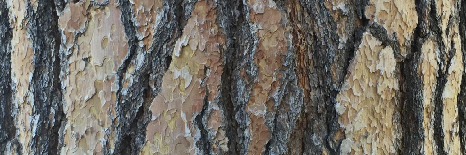 GoodSwillHuntin's profile banner image