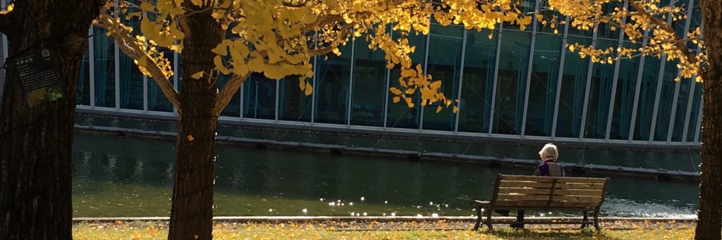 18_shingoro's profile banner image