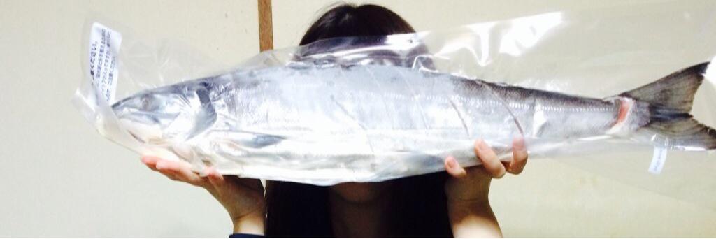 eringi_miya's profile banner image