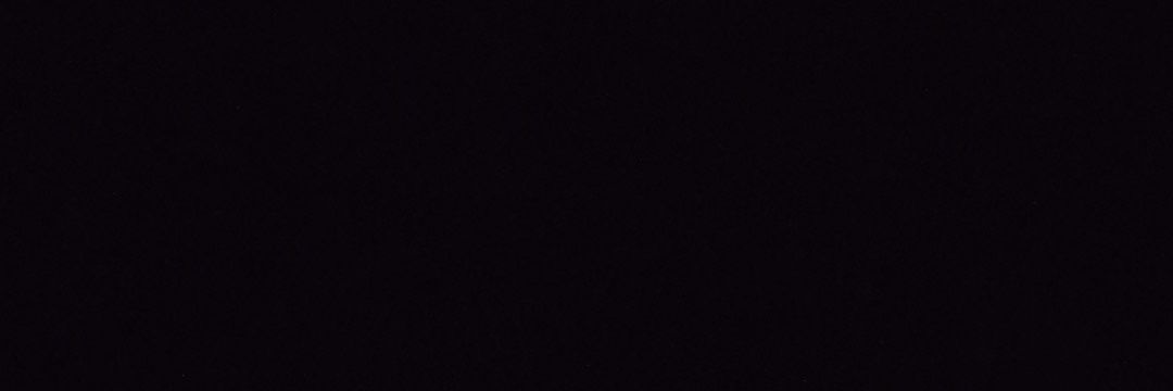 _Raptors's profile banner image