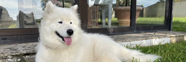 YouDjeuR Profile Banner