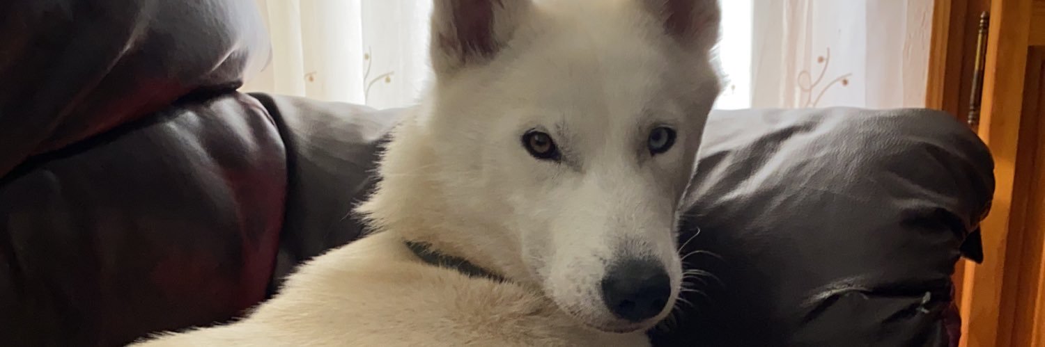 Meligonz95's profile banner image