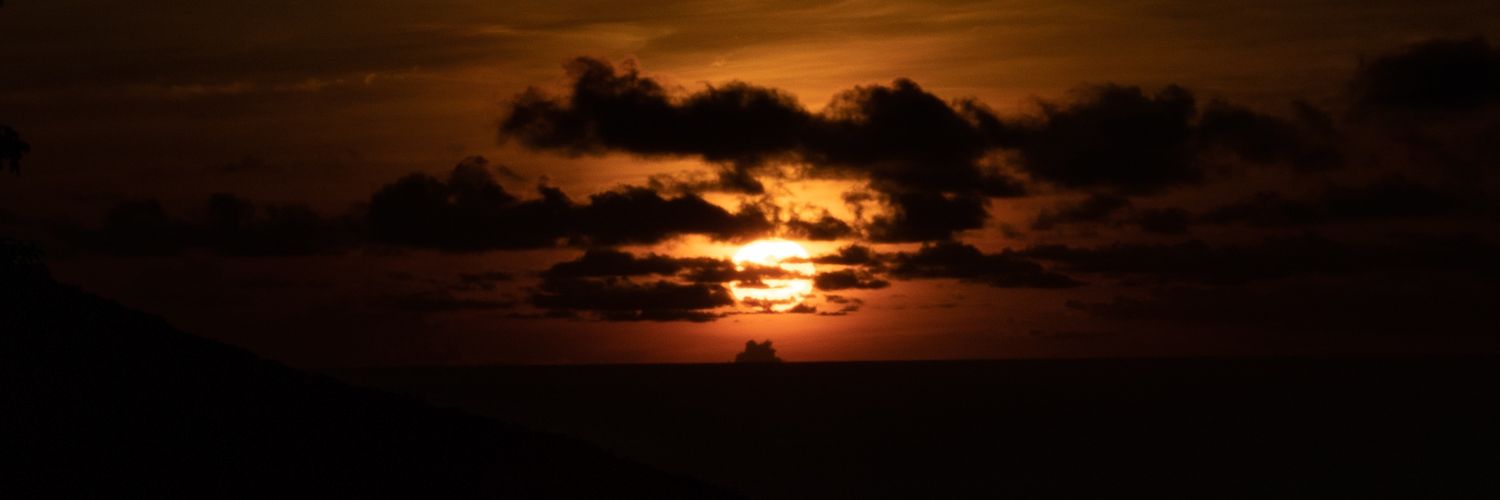 dognindavid's profile banner image