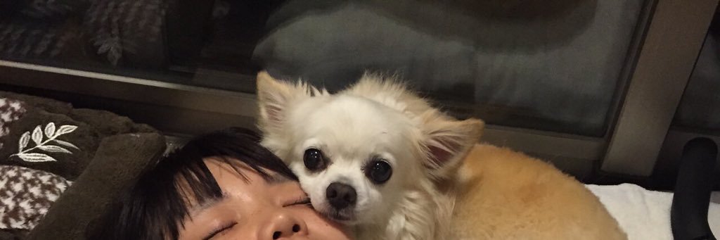 mito0129's profile banner image