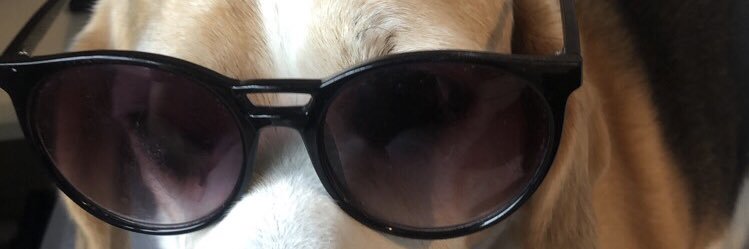 _Chaz__'s profile banner image