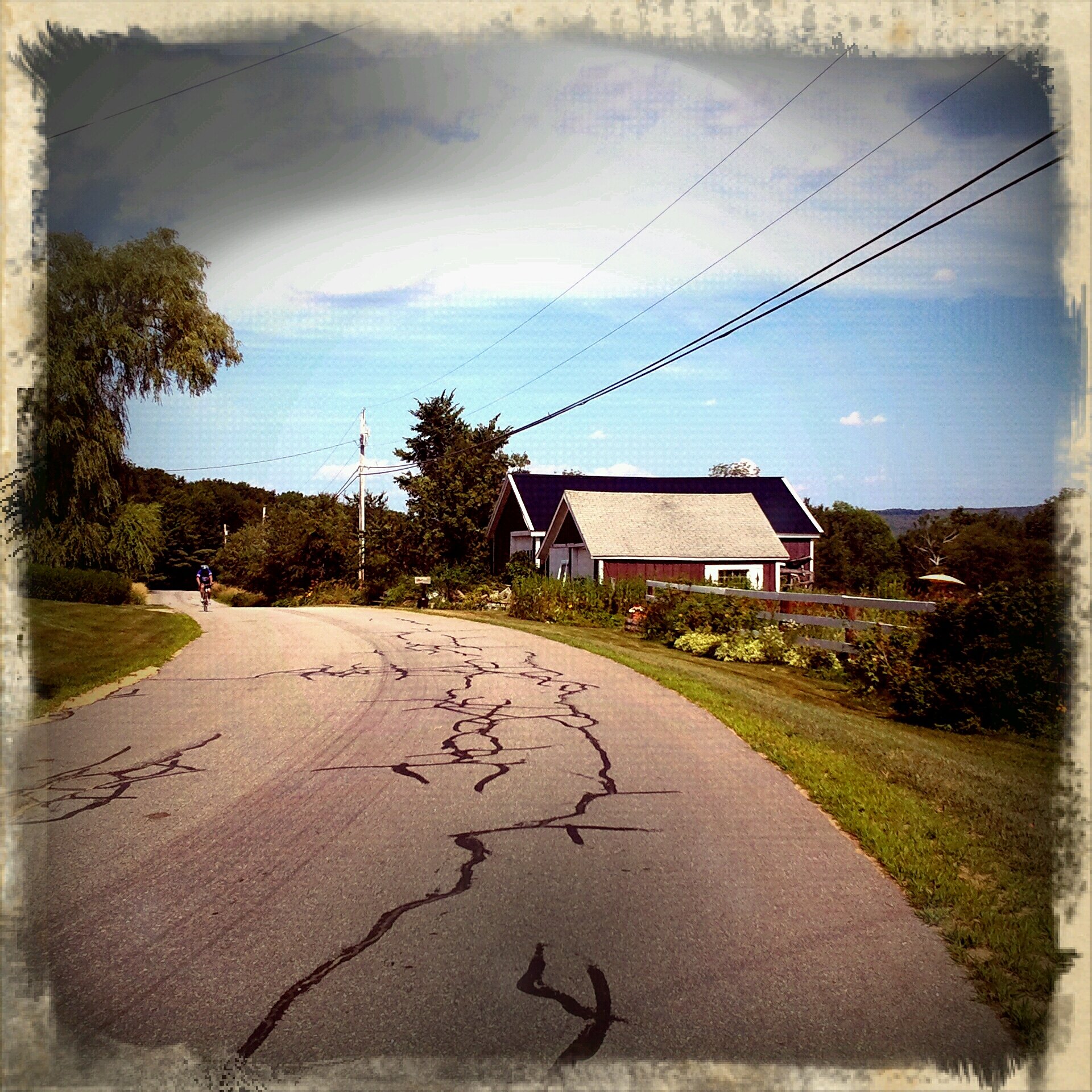 pedal_junky's profile banner image