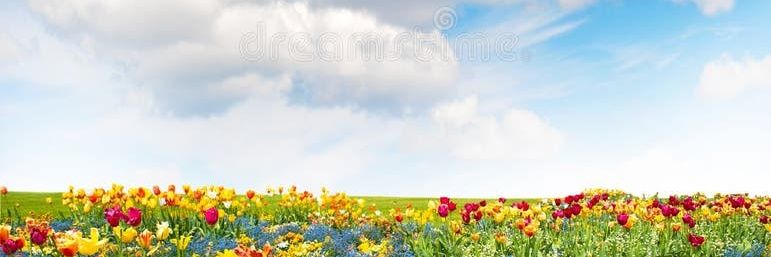 NectarHarvester's profile banner image
