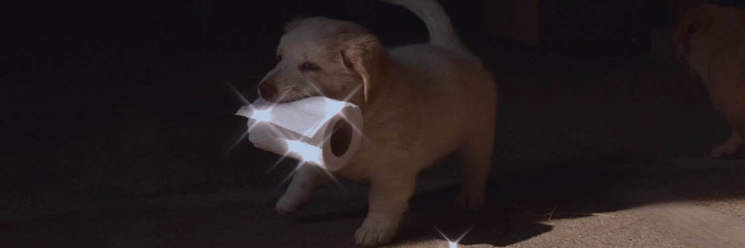 admchlrys's profile banner image