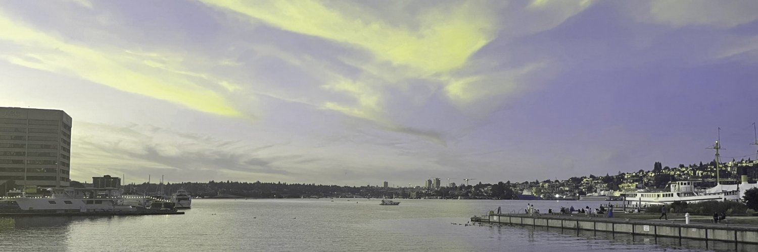 BegumMoralioglu's profile banner image