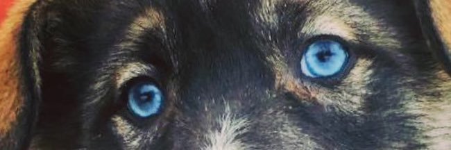 Kerrzy79's profile banner image
