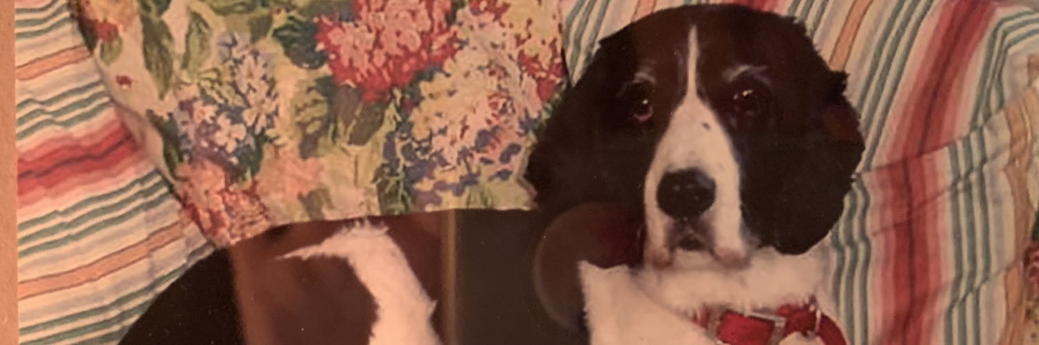 mgasson's profile banner image