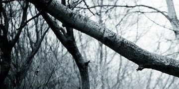 Smilbek's profile banner image