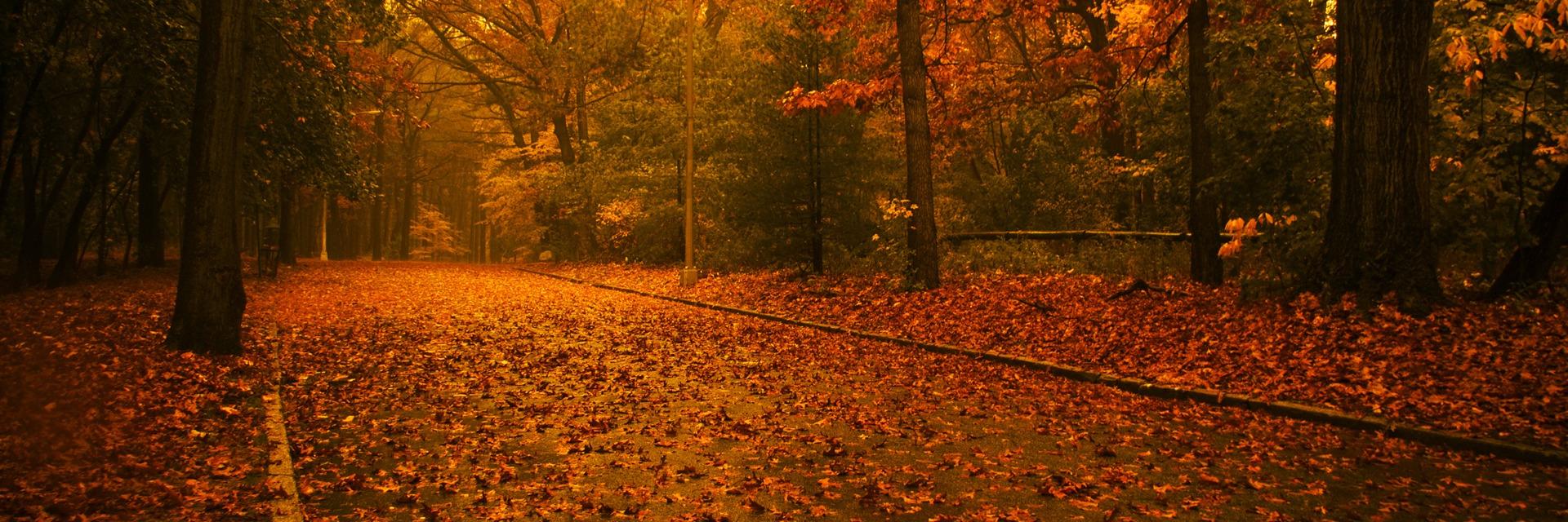 Sahra_Peace's profile banner image