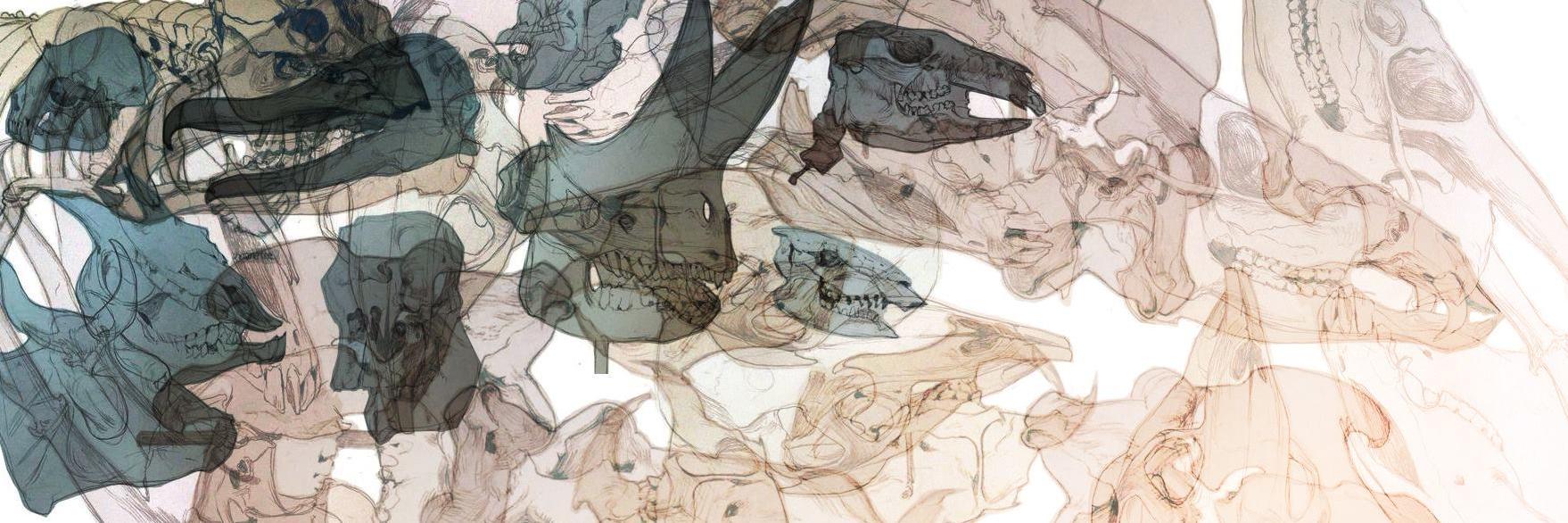 janaschi's profile banner image