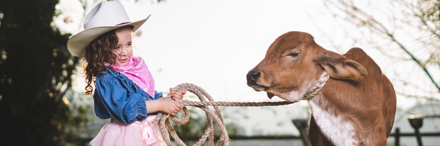 Kathyapl's profile banner image
