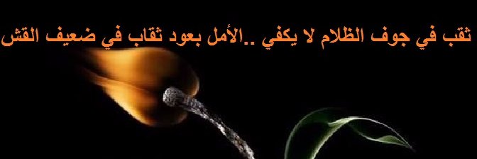 majedalrabee's profile banner image