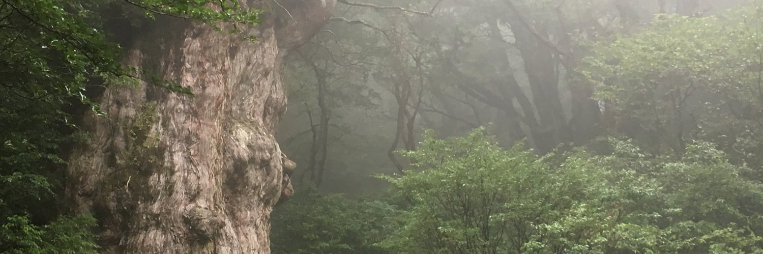 Mr.オニオン banner