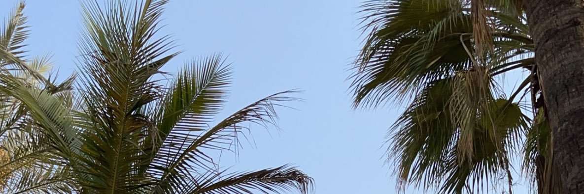 Too2123's profile banner image