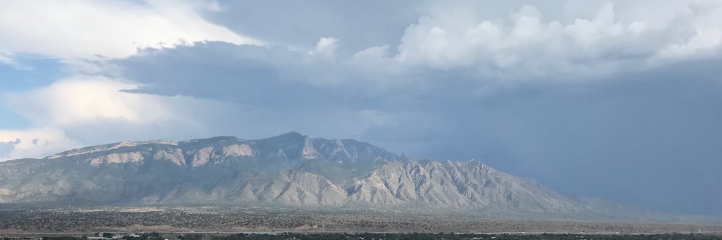 Vanessa Pierson banner