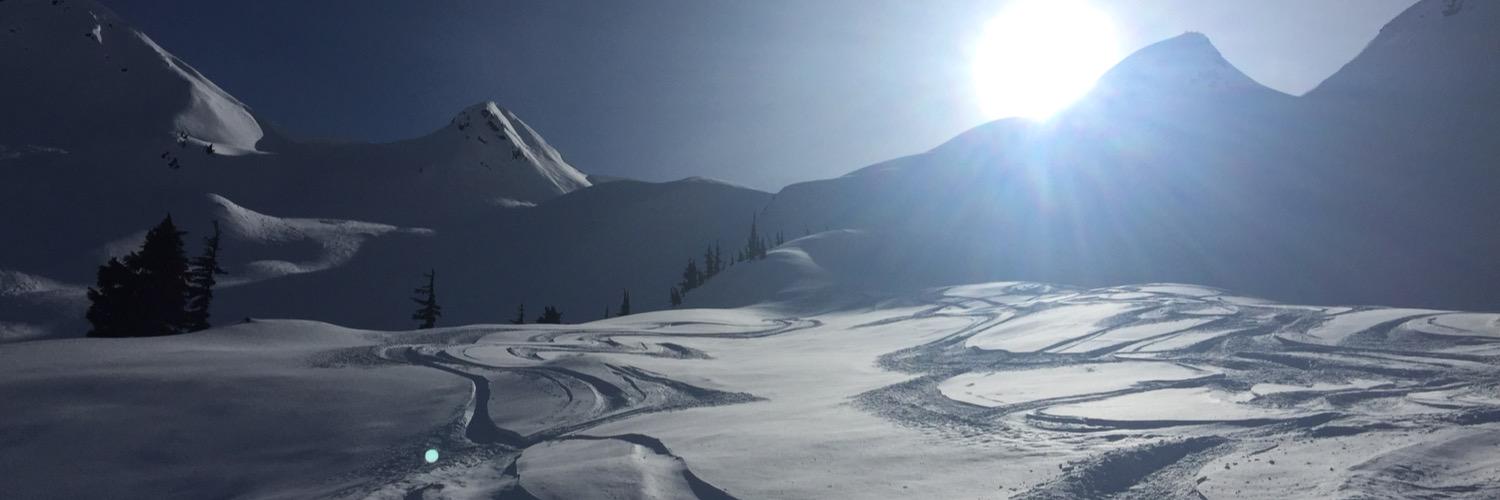 Blake MacDonald banner