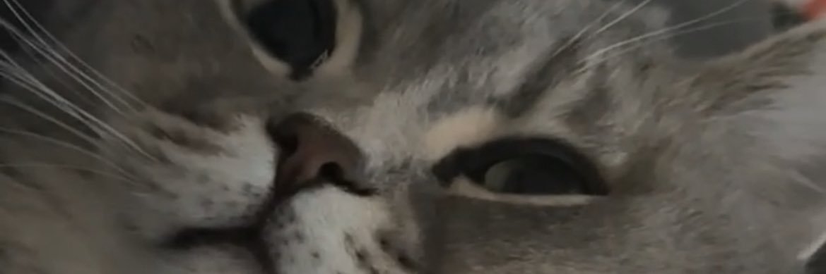 j_berdo's profile banner image