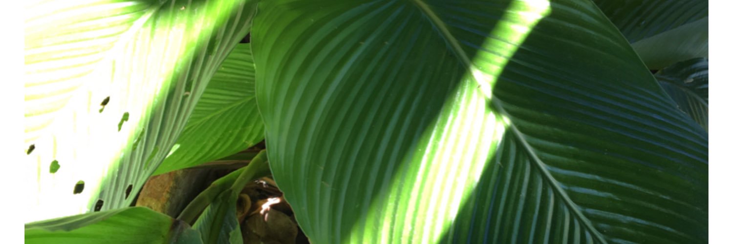 Dy_ibarra's profile banner image