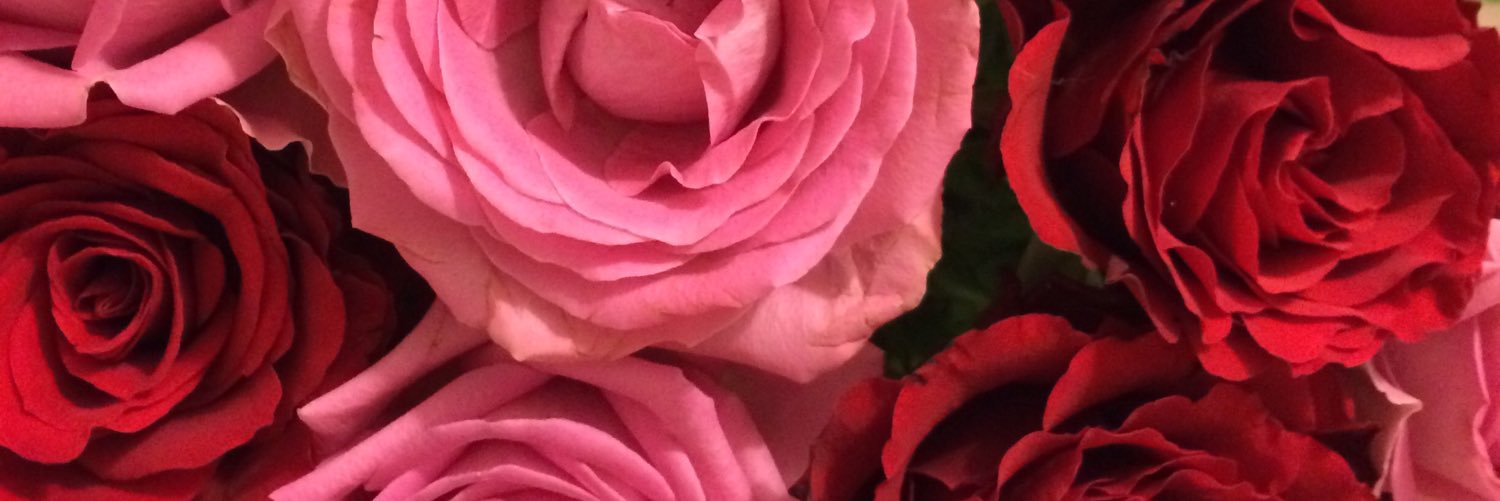 ImogenBroers's profile banner image