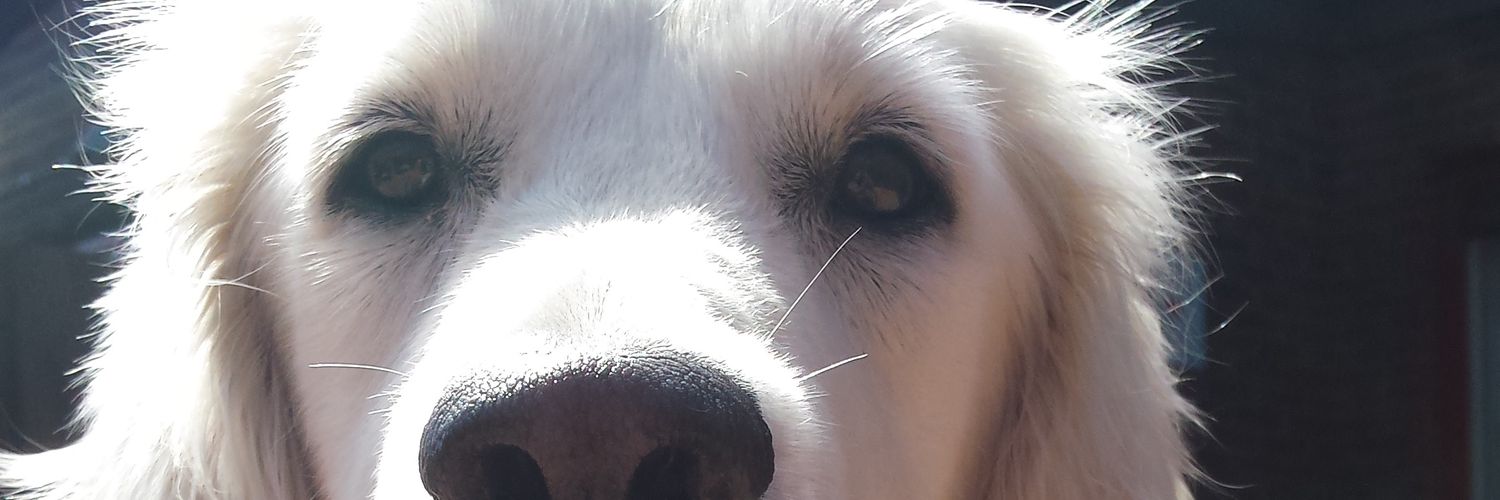 BobDH070's profile banner image