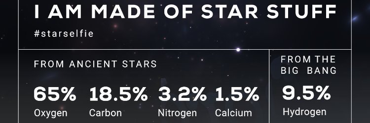 decentrino's profile banner image
