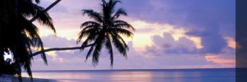 lbanna74's profile banner image