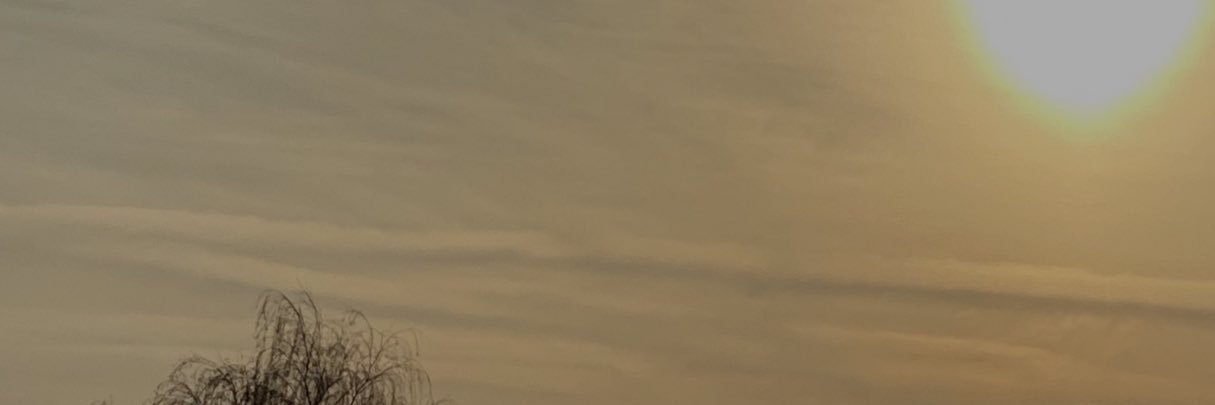 alperrottet's profile banner image