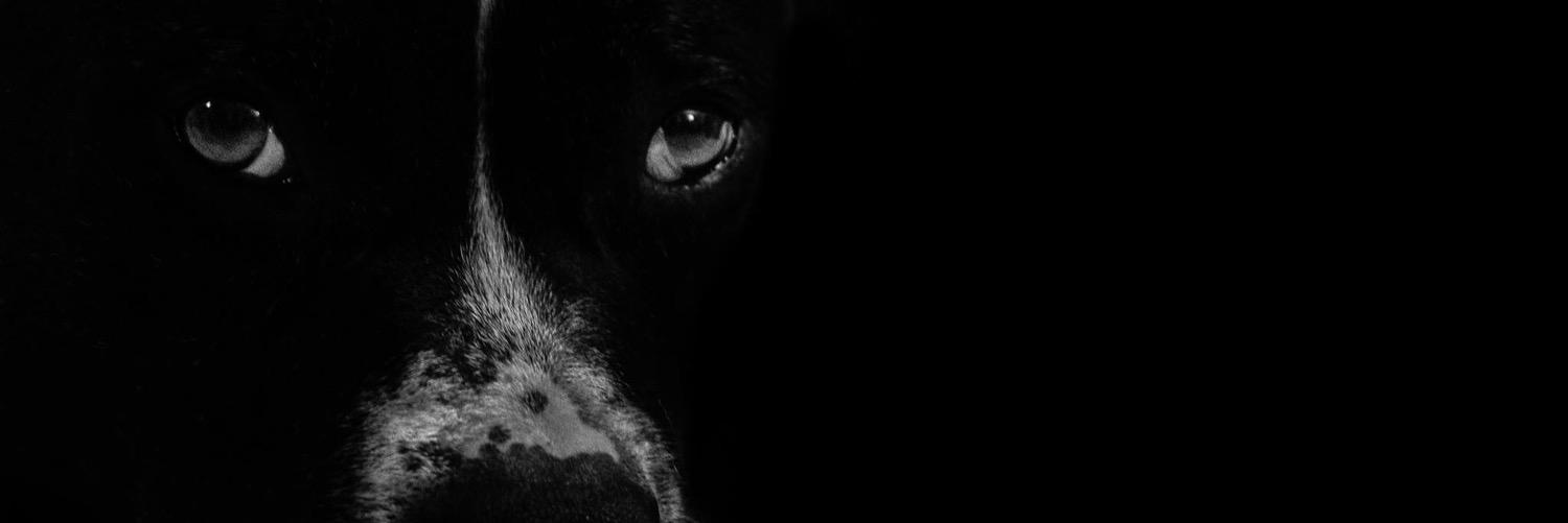 texas_2120's profile banner image