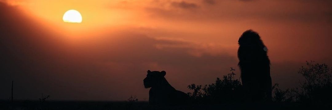 Se_RaPh's profile banner image