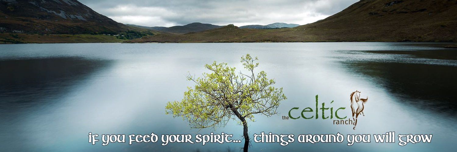 CelticRanch's profile banner image