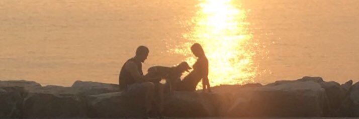 KateAuer23's profile banner image