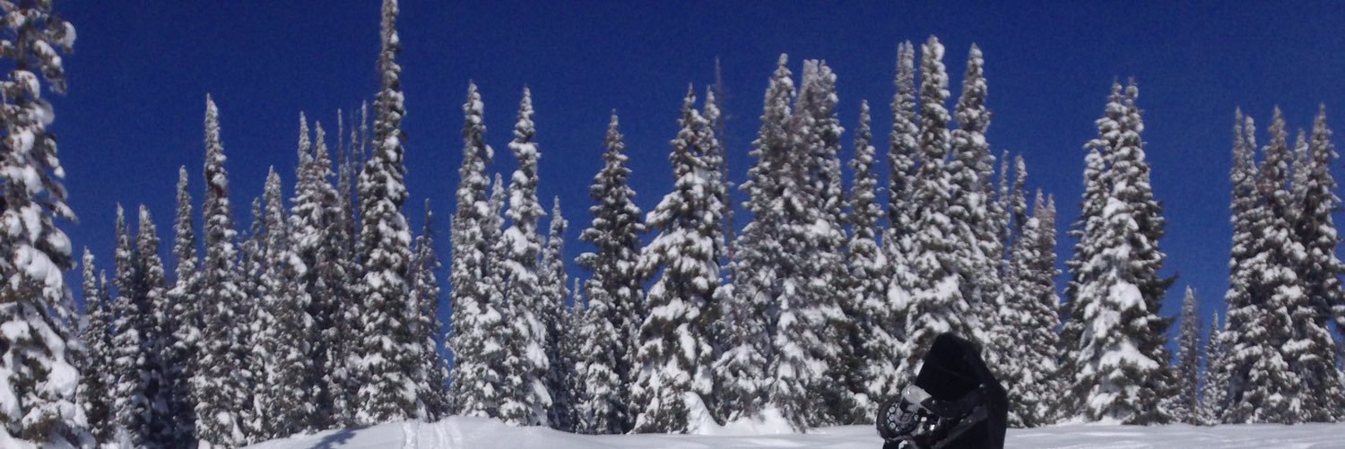 aLavigne7's profile banner image