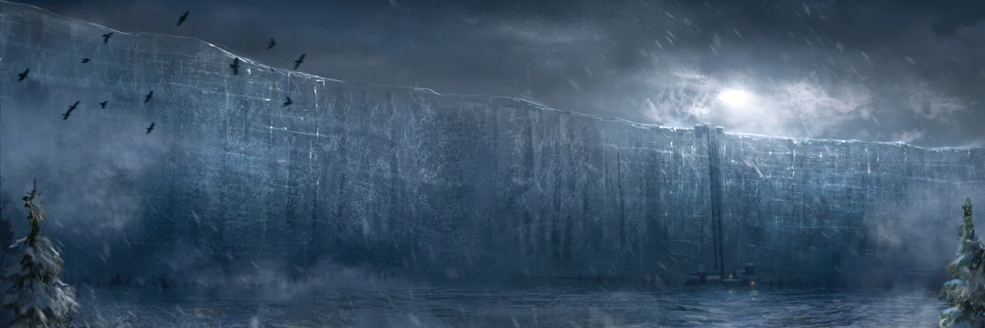 Stevesy's profile banner image
