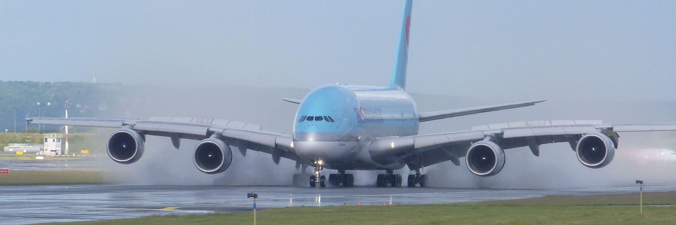 Steve Finch Travel ✈️🚢🚆🌎🇬🇧 banner