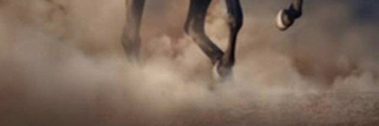 Alaaydah's profile banner image