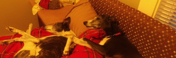 _mahnke Profile Banner